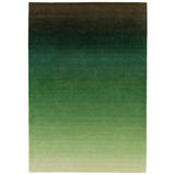 Ombre Green/Multi Rug