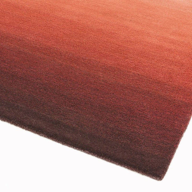 Ombre Rust/Multi Rug-Asiatic Carpets-Rug Love - The Most Loved Rug Store